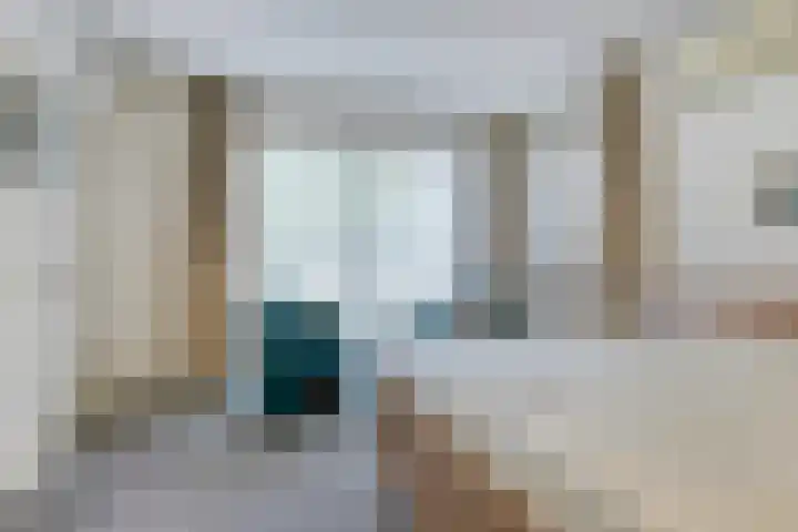 Bosschebaan 20 Heesch thumbnail 16