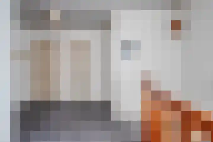 Bosschebaan 20 Heesch thumbnail 22