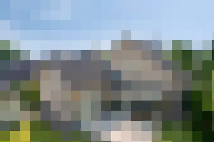 Bosschebaan 20 Heesch thumbnail 33