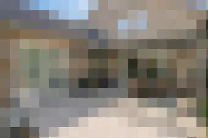 Bosschebaan 20 Heesch thumbnail 37