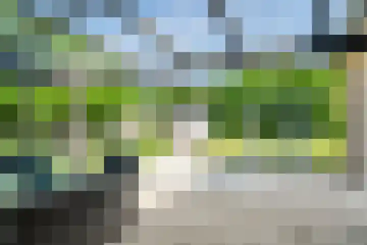 Bosschebaan 20 Heesch thumbnail 39