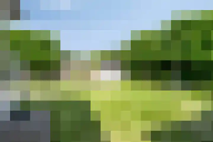 Bosschebaan 20 Heesch thumbnail 41