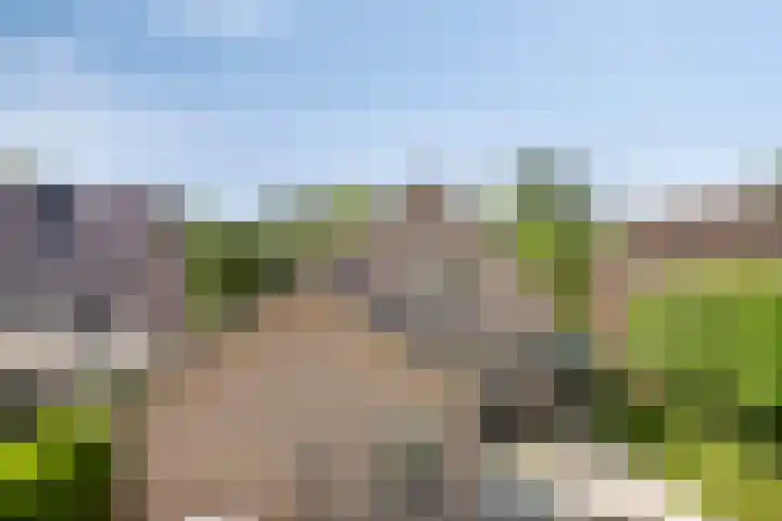 Bosschebaan 20 Heesch thumbnail 42