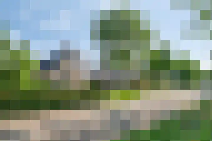 Bosschebaan 20 Heesch thumbnail 43