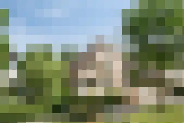 Bosschebaan 20 Heesch thumbnail 44