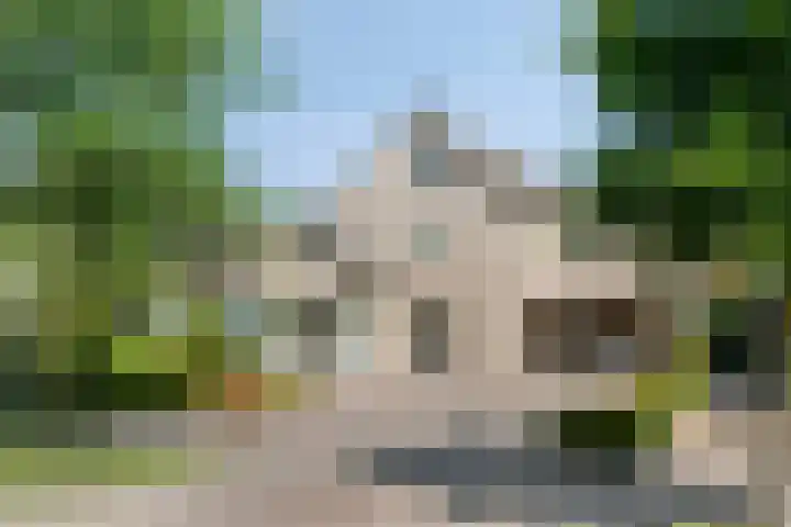 Bosschebaan 20 Heesch thumbnail 47