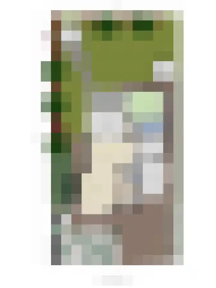 Bosschebaan 20 Heesch thumbnail 52