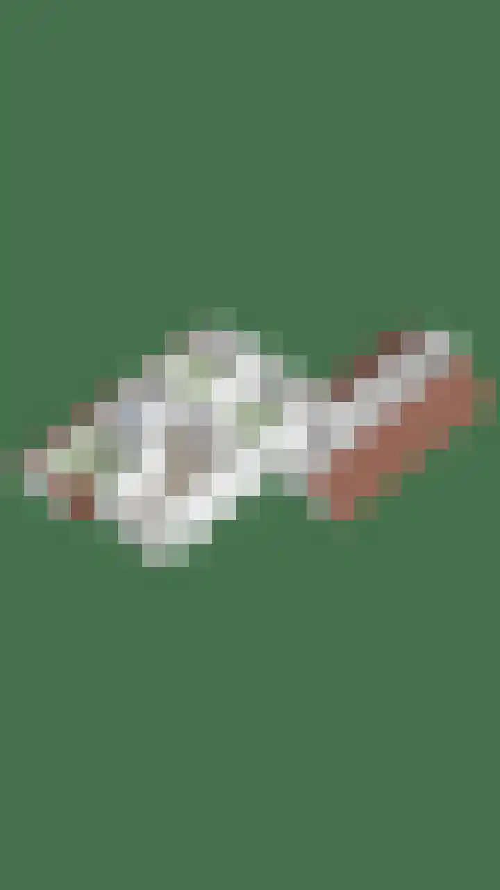 Bosschebaan 20 Heesch thumbnail 57