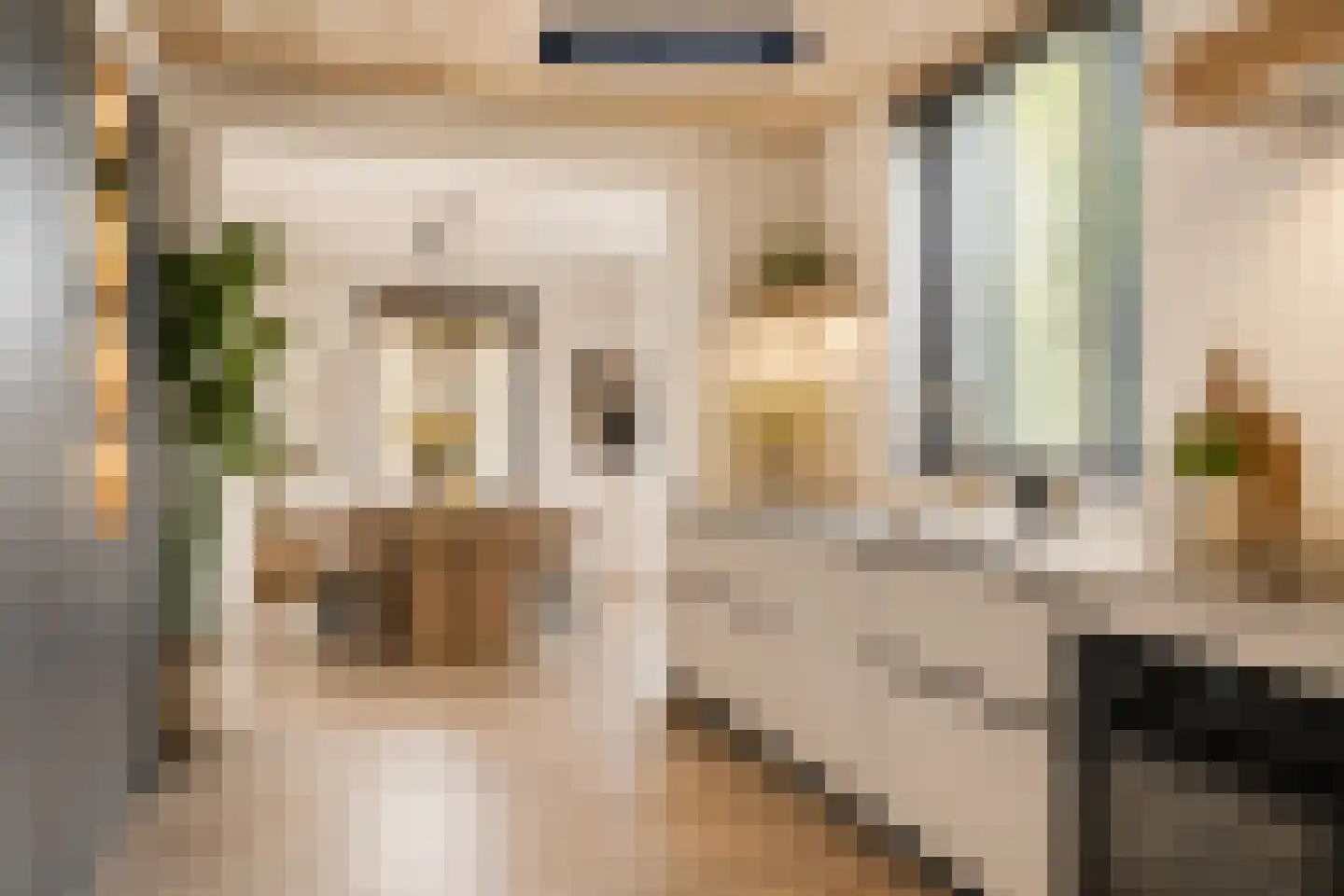 Bosschebaan 20 Uden thumbnail 17