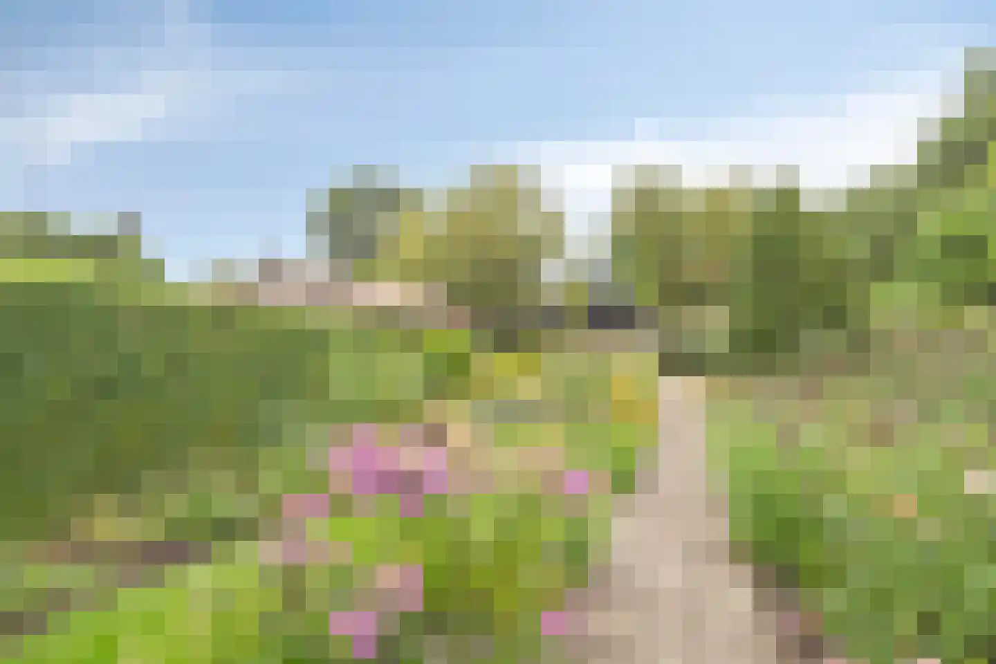 Bosschebaan 20 Uden thumbnail 28