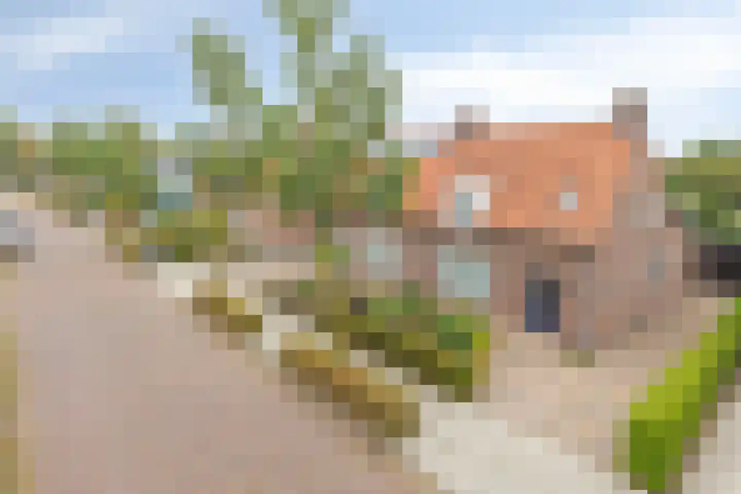 Bosschebaan 20 Uden thumbnail 32
