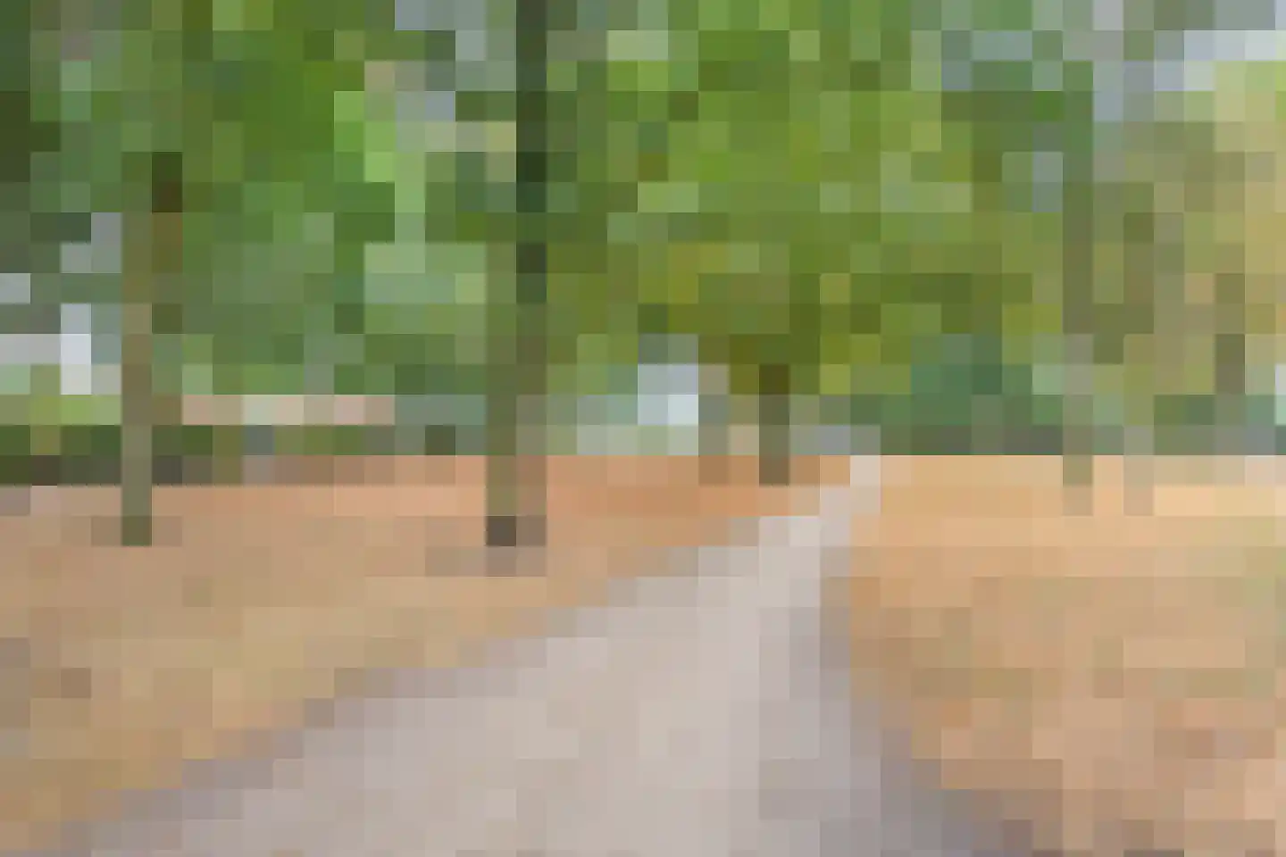 Bosschebaan 20 Uden thumbnail 33