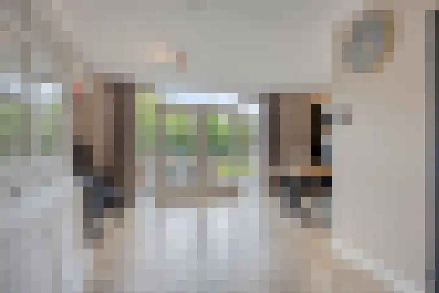 Bosschebaan 40 Heesch thumbnail 10