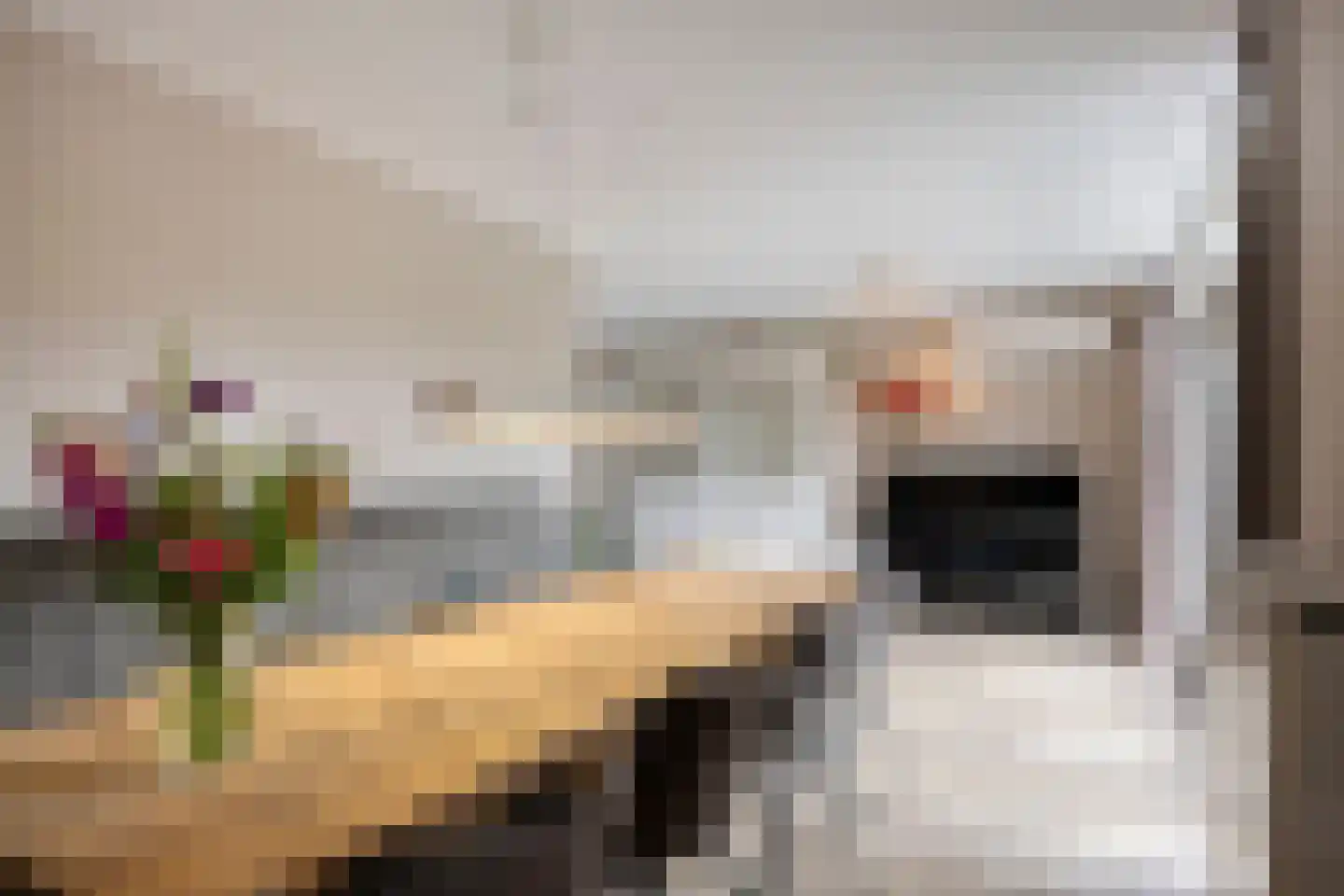 Bosschebaan 40 Heesch thumbnail 13