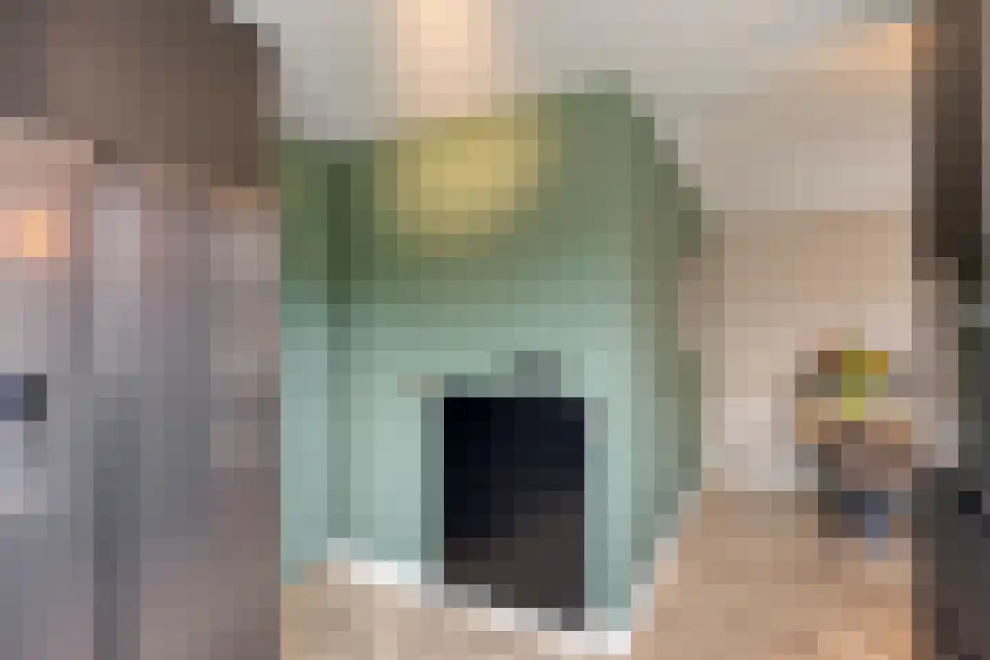 Bosschebaan 40 Heesch thumbnail 18