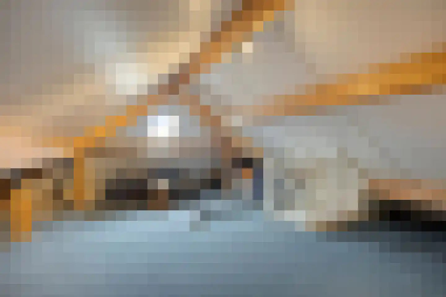 Bosschebaan 40 Heesch thumbnail 35