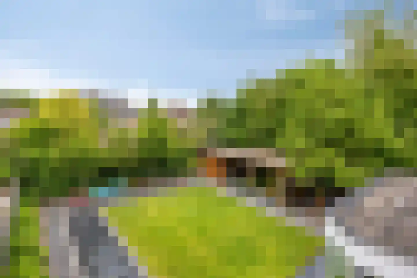 Bosschebaan 40 Heesch thumbnail 43