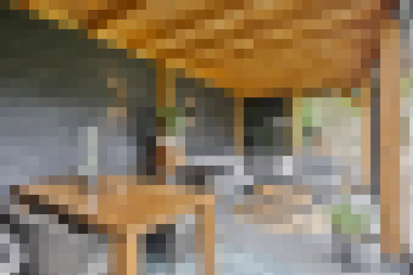 Bosschebaan 40 Heesch thumbnail 52