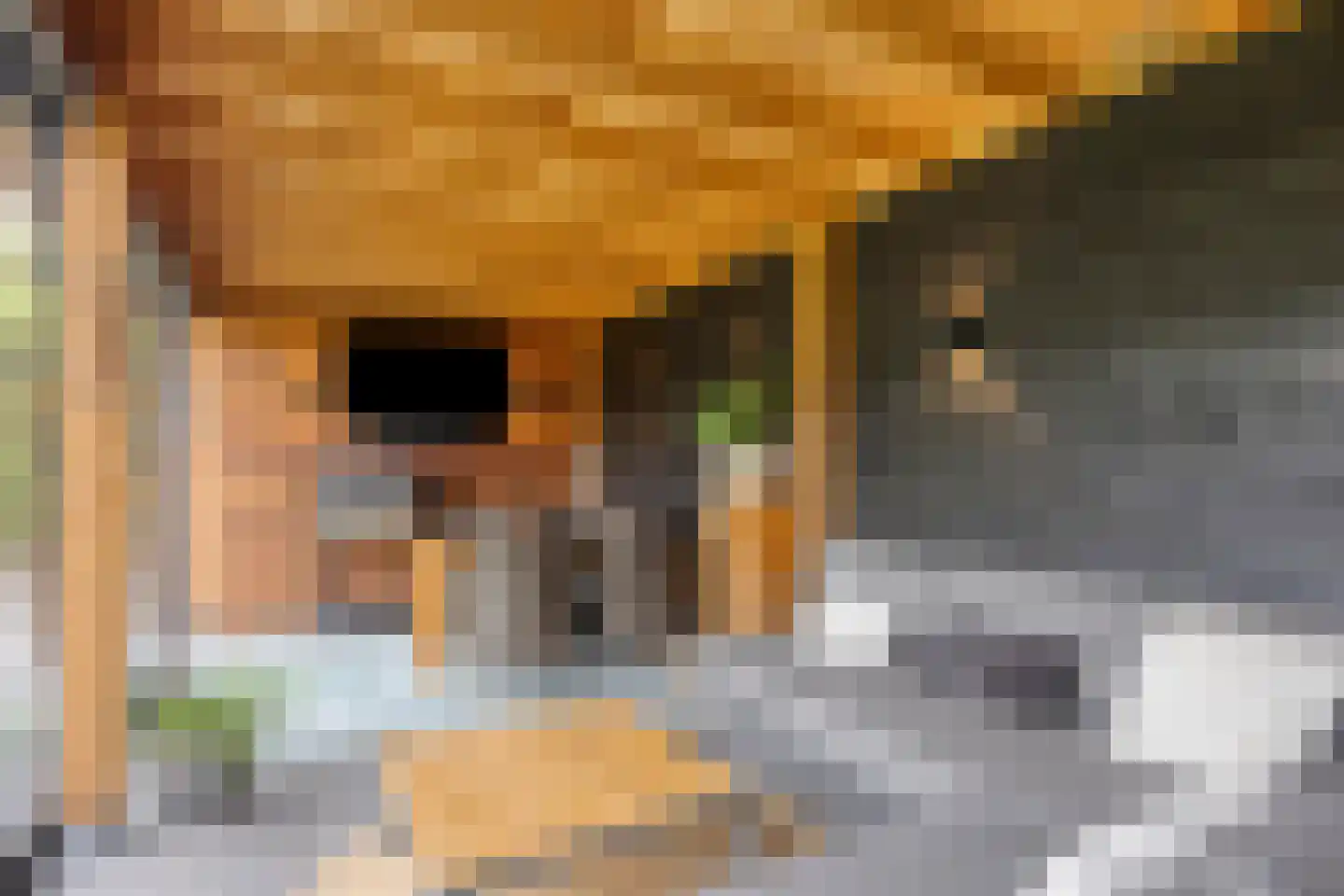 Bosschebaan 40 Heesch thumbnail 53