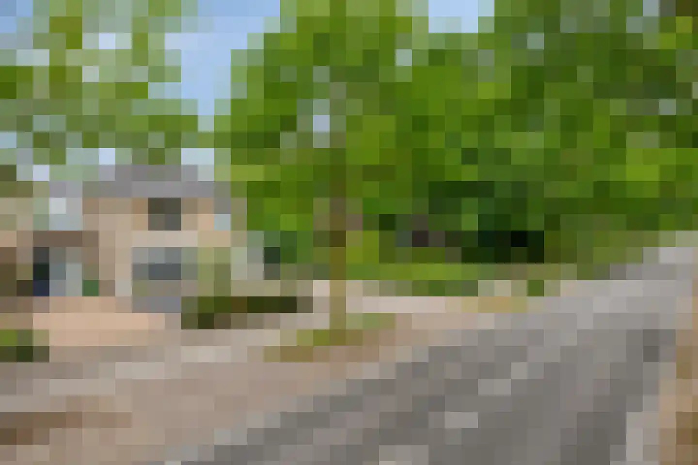 Bosschebaan 40 Heesch thumbnail 61