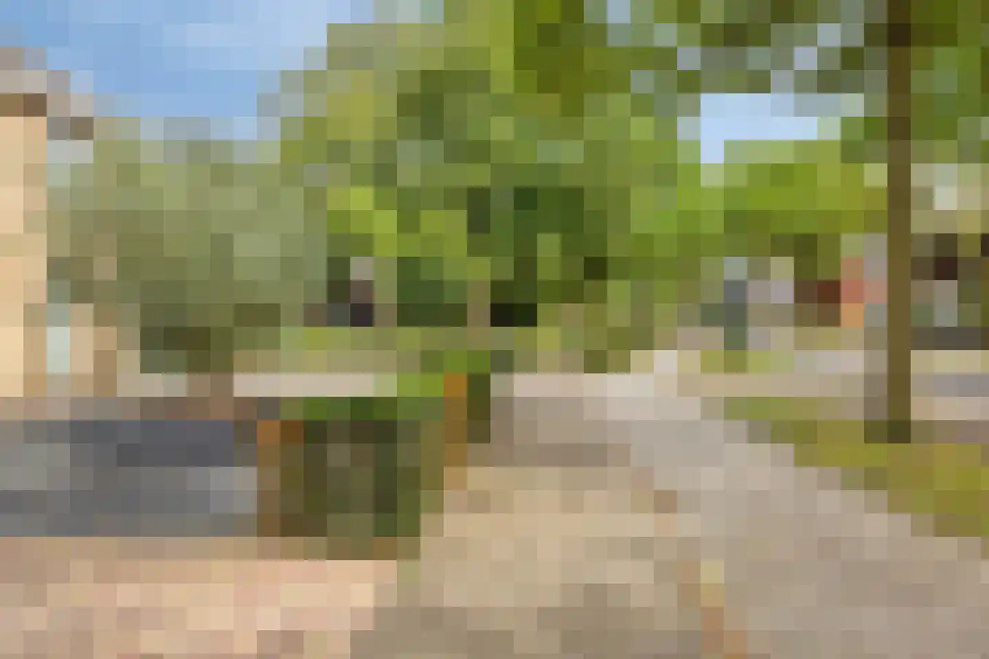 Bosschebaan 40 Heesch thumbnail 62