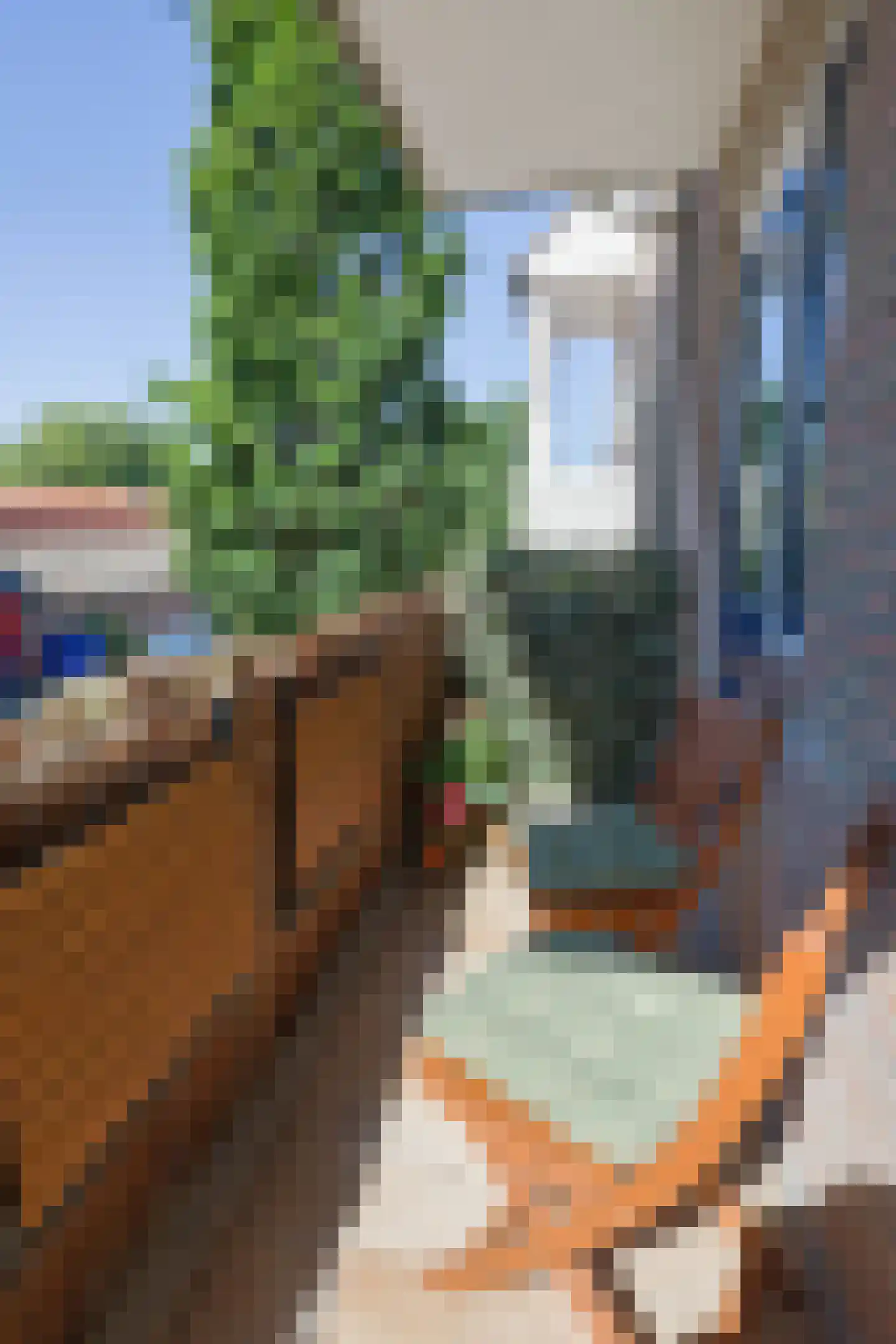 Bosschebaan 64 Uden thumbnail 12