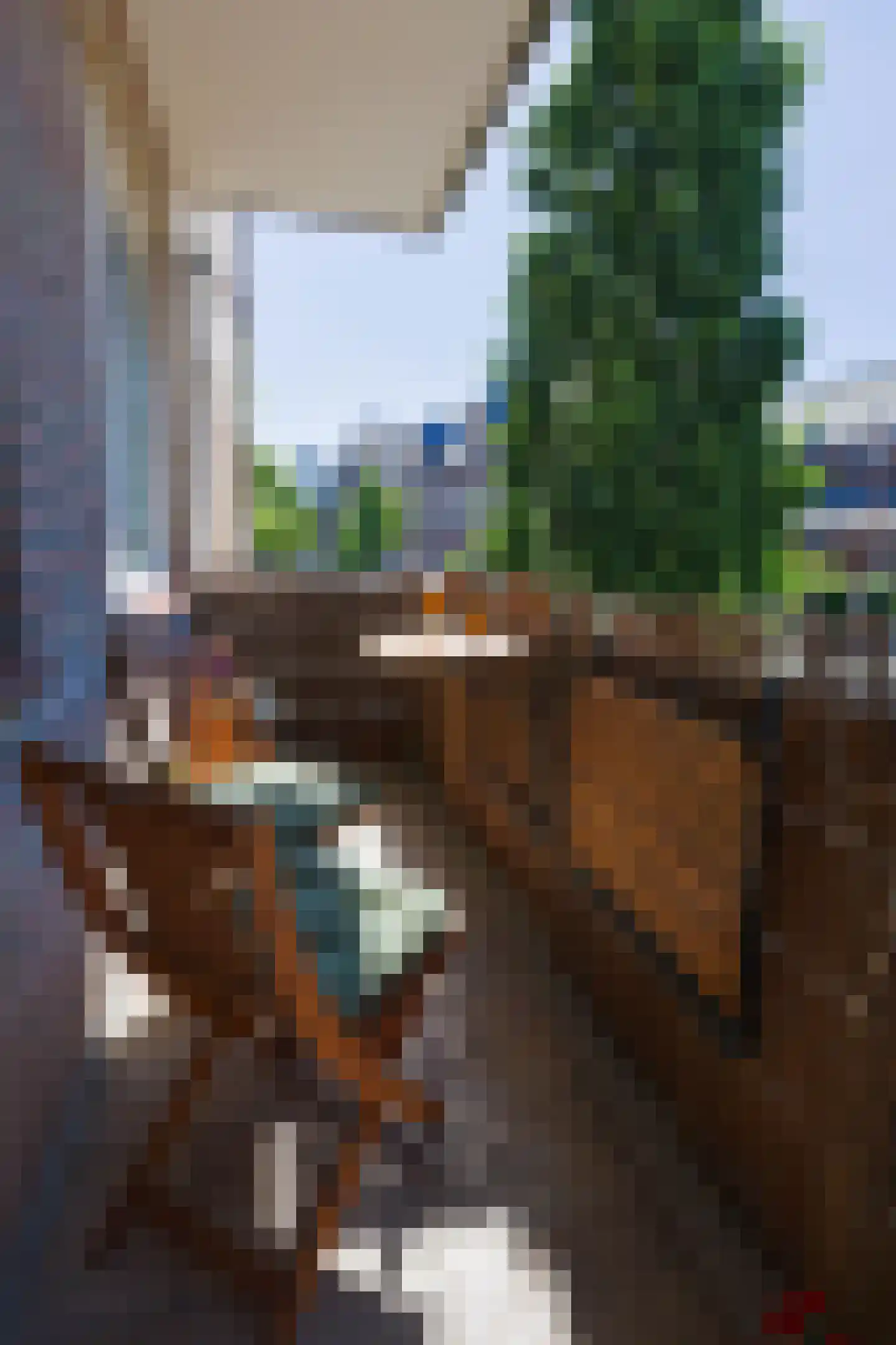 Bosschebaan 64 Uden thumbnail 13