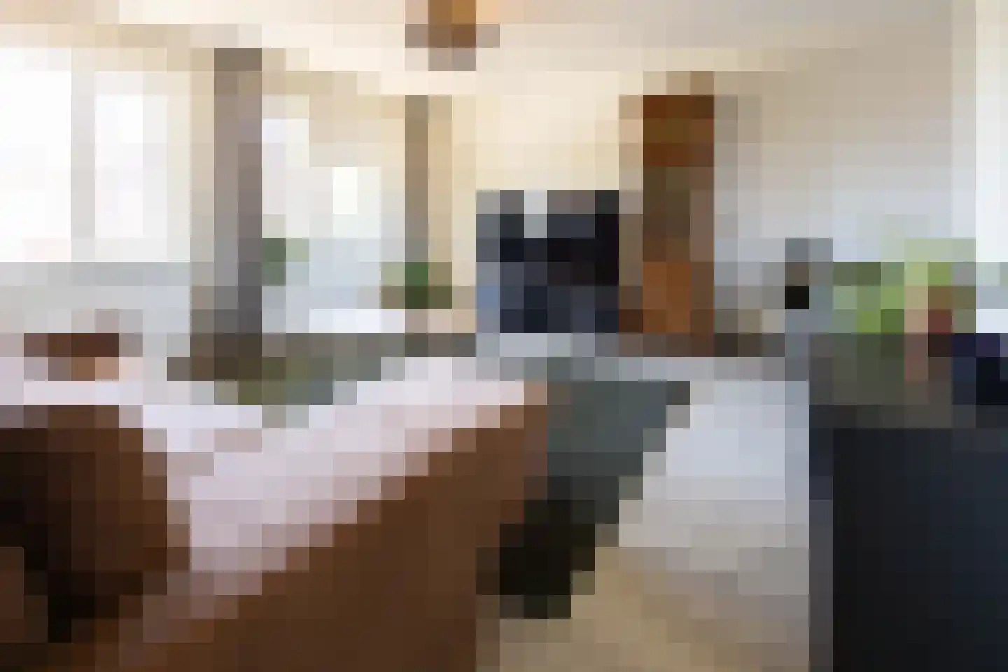 Bosschebaan 64 Uden thumbnail 7