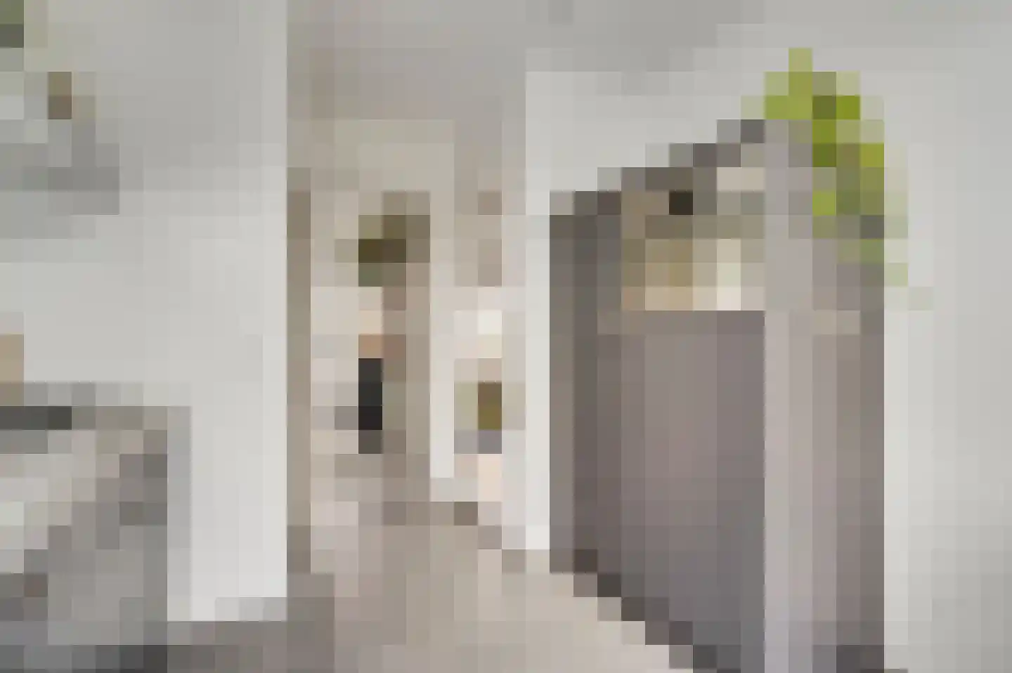 Bosschekampstraat 27 Sevenum thumbnail 18