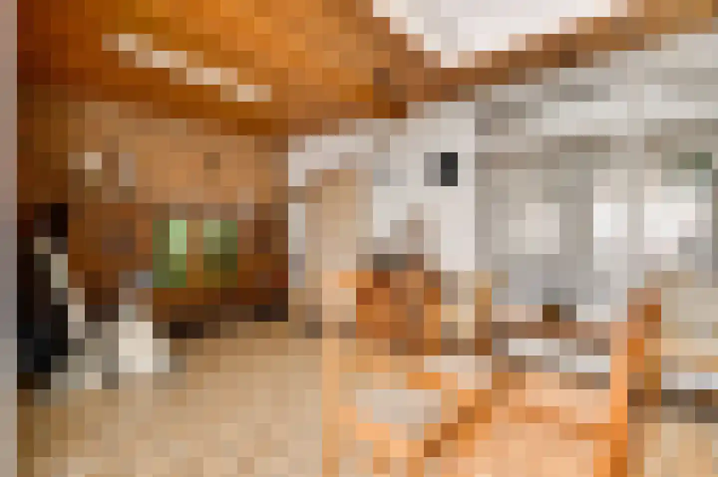Bosschekampstraat 34 Sevenum thumbnail 26