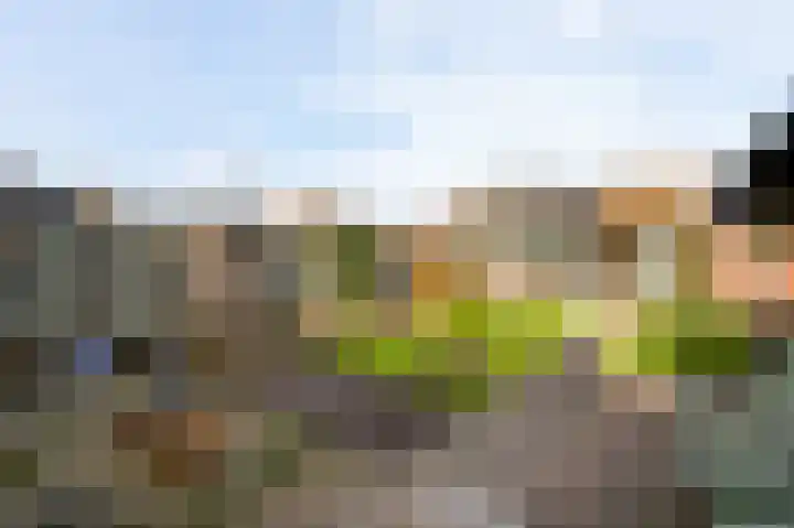 Bosschekampstraat 34 Sevenum thumbnail 4