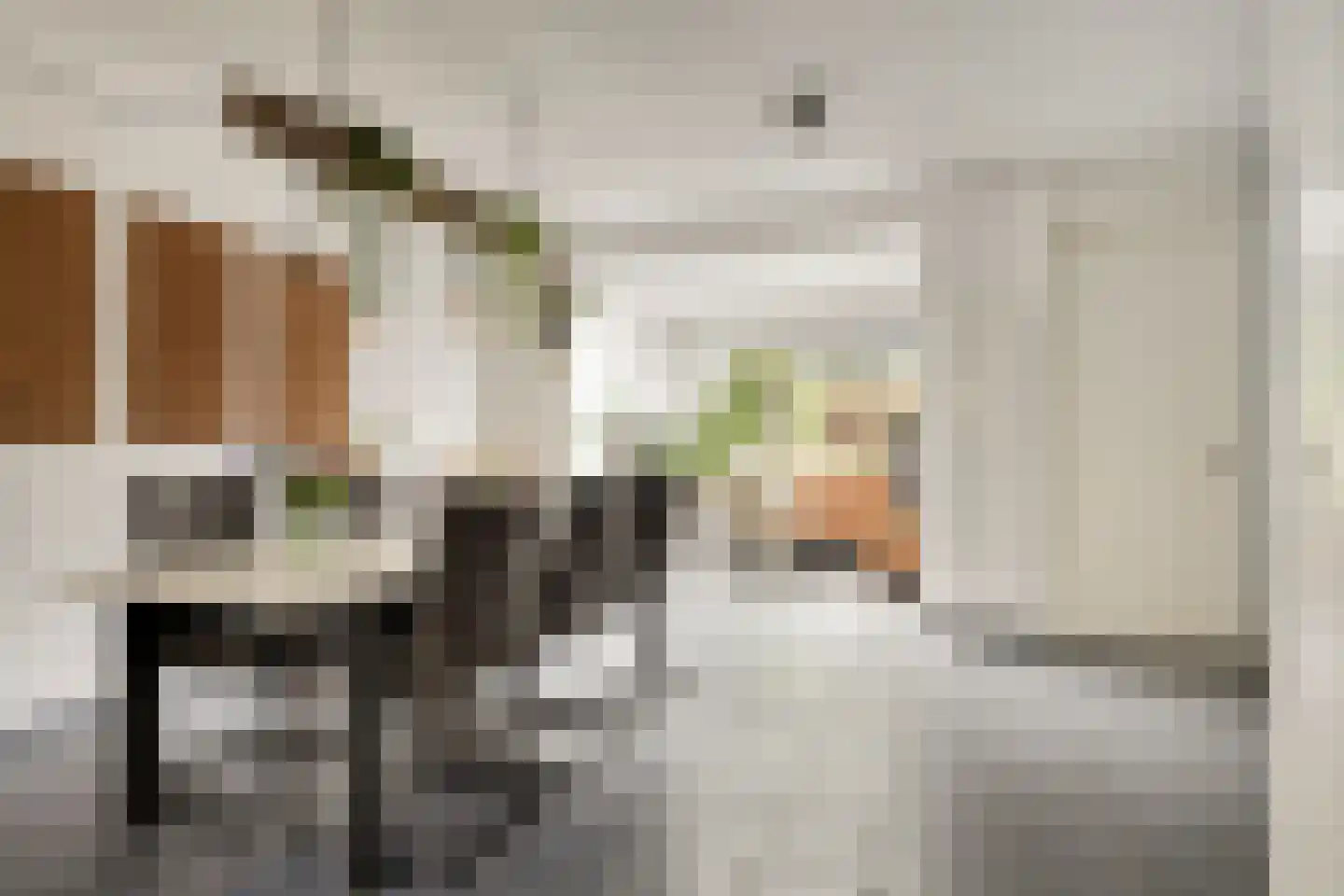 Bosschekampstraat 75 Sevenum thumbnail 7