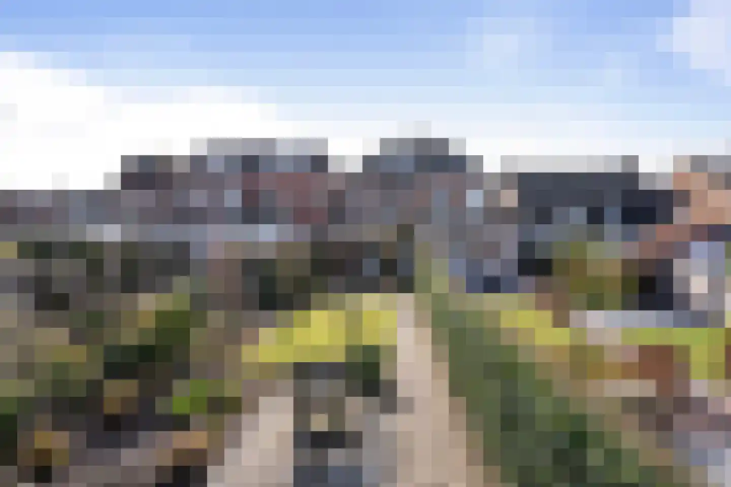 Bosschendijk 23 Oudenbosch thumbnail 7