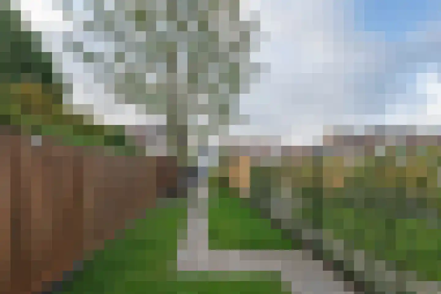 Bosschendijk 39 Oudenbosch thumbnail 22