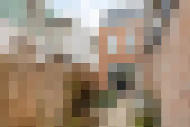 Bosschendijk 51 Oudenbosch thumbnail 35