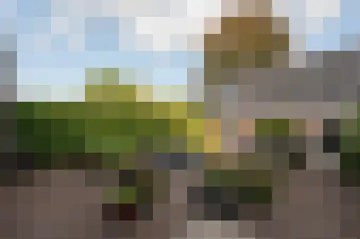 Bosschendijk 55 Oudenbosch thumbnail 31
