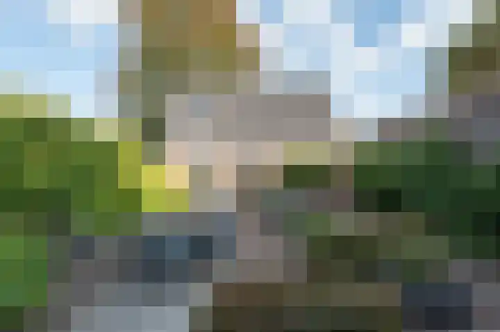 Bosschendijk 55 Oudenbosch thumbnail 33