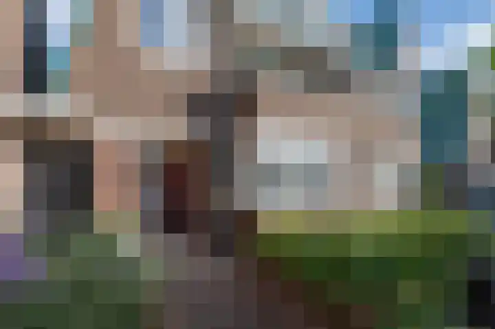 Bosschendijk 55 Oudenbosch thumbnail 4