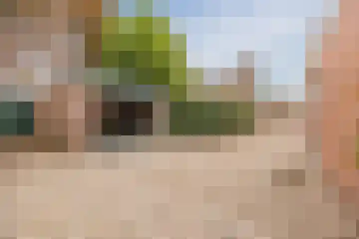 Bosschendijk 61 Oudenbosch thumbnail 50