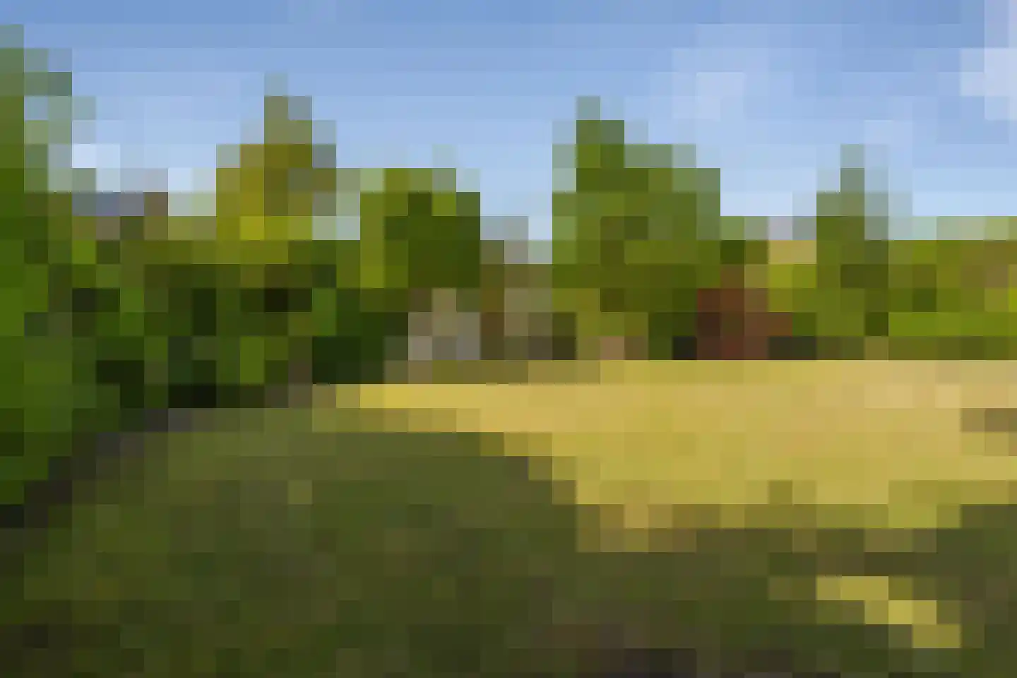Bosschendijk 62 Oudenbosch thumbnail 33
