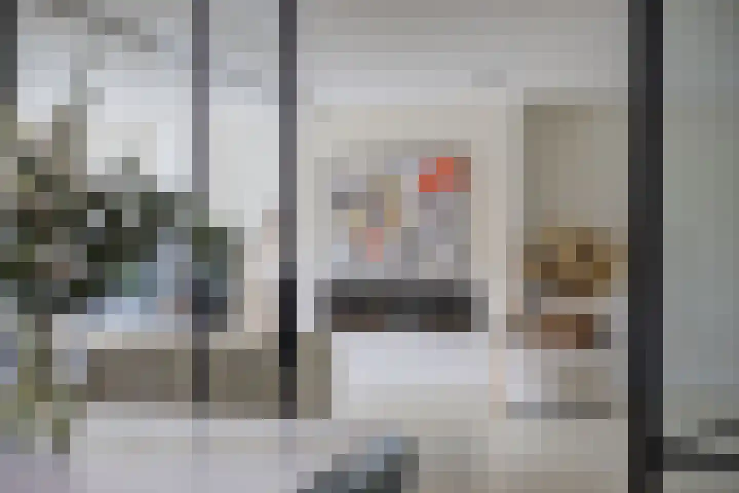 Bosschendijk 64 Oudenbosch thumbnail 22