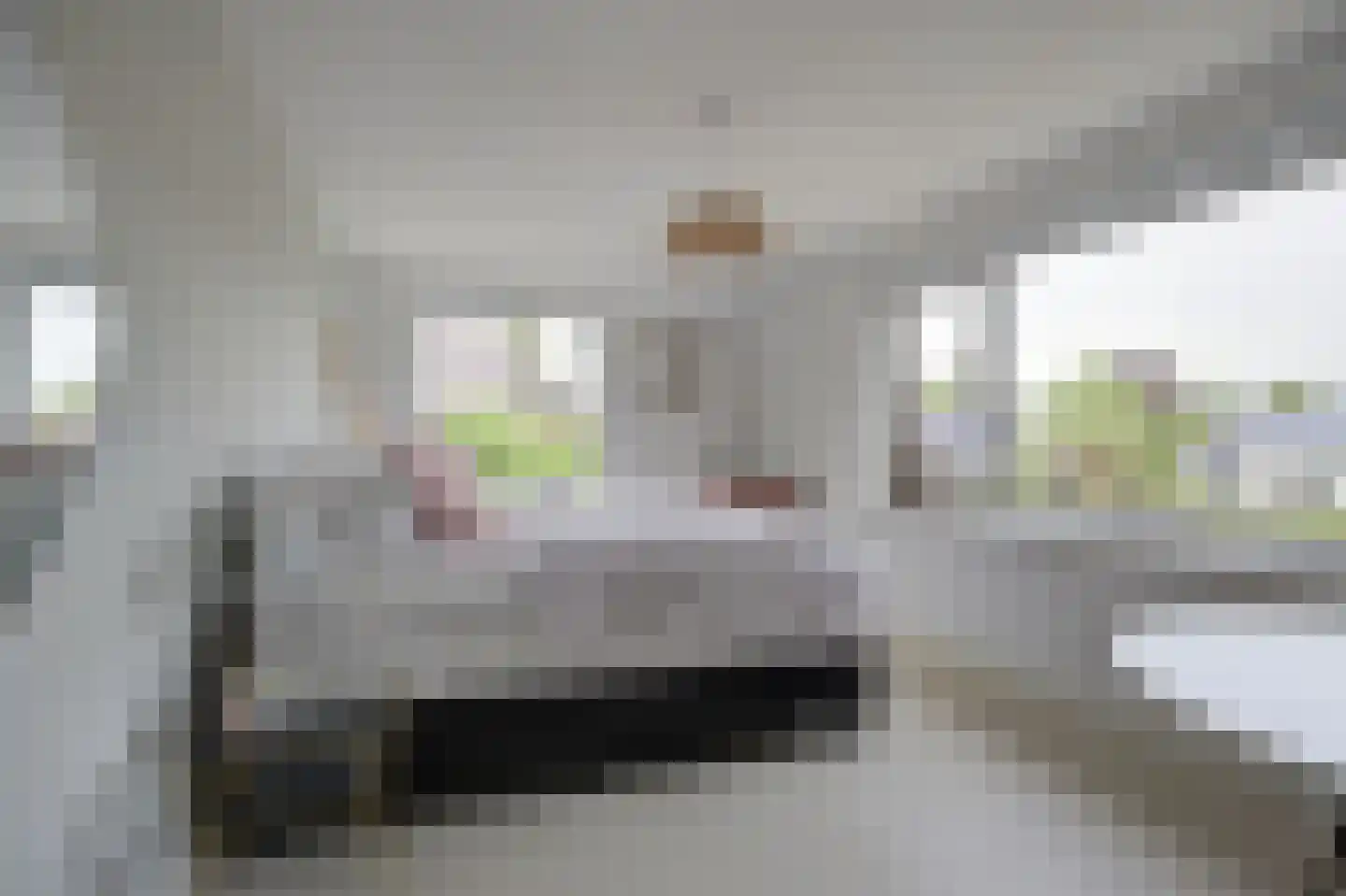 Bosschendijk 64 Oudenbosch thumbnail 33