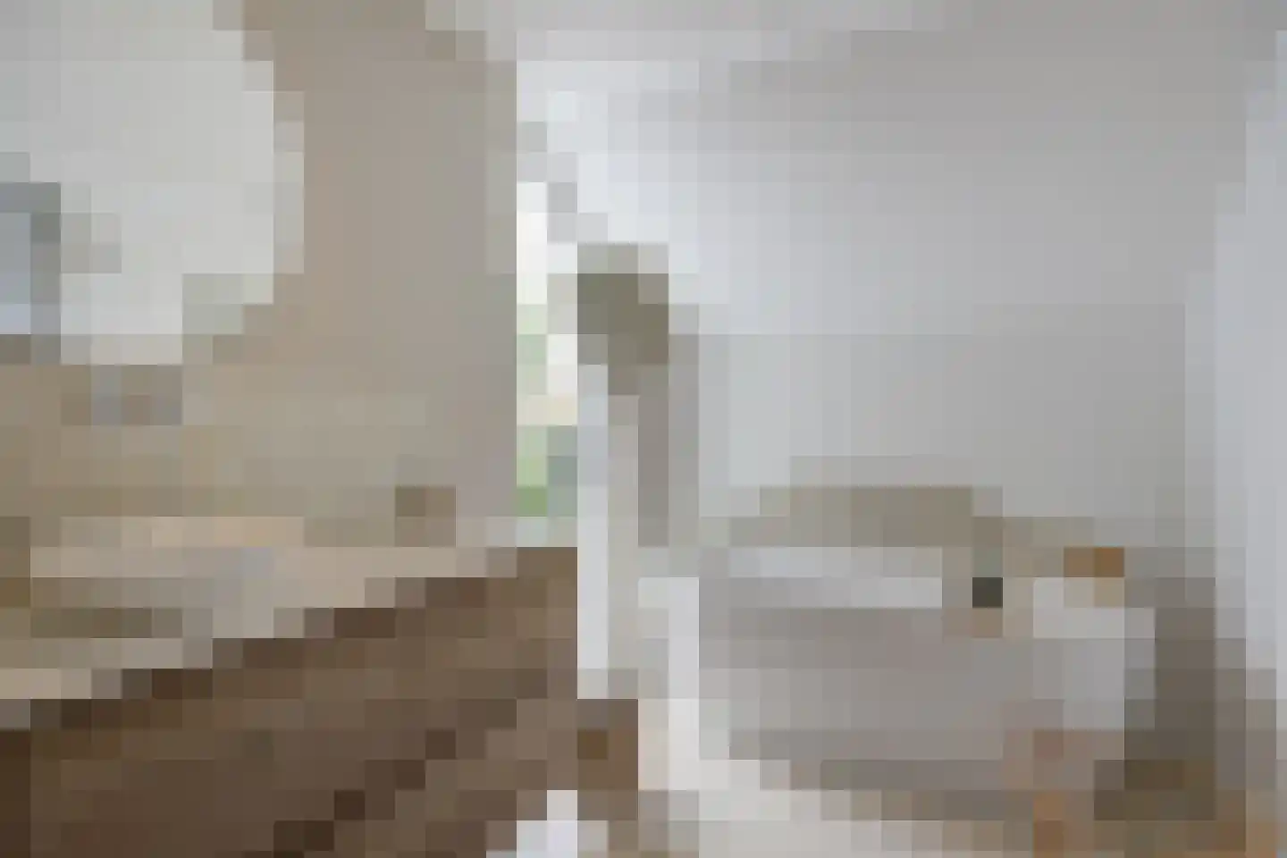Bosschendijk 64 Oudenbosch thumbnail 38