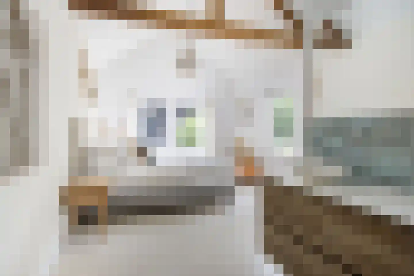 Bosschendijk 64 Oudenbosch thumbnail 4
