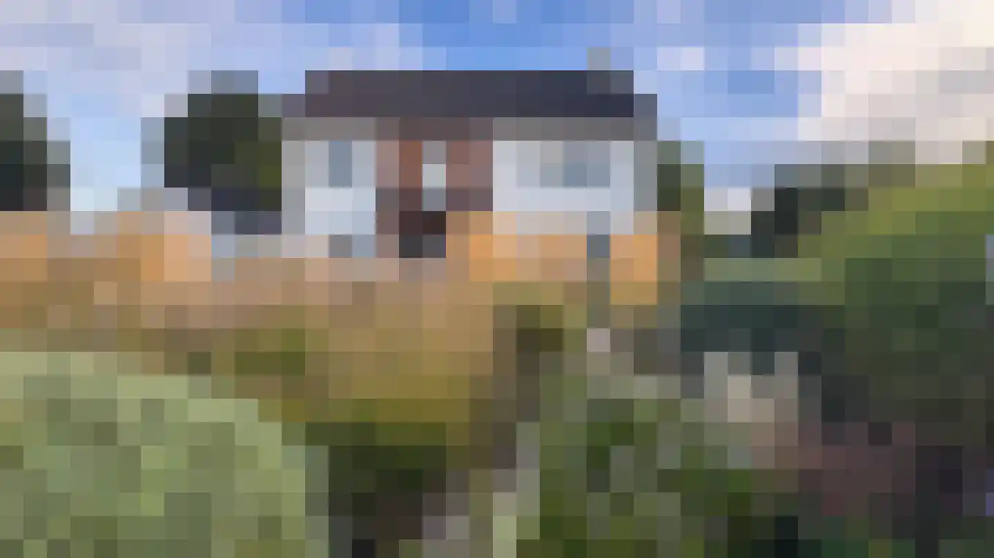 Bosschendijk 64 Oudenbosch thumbnail 45