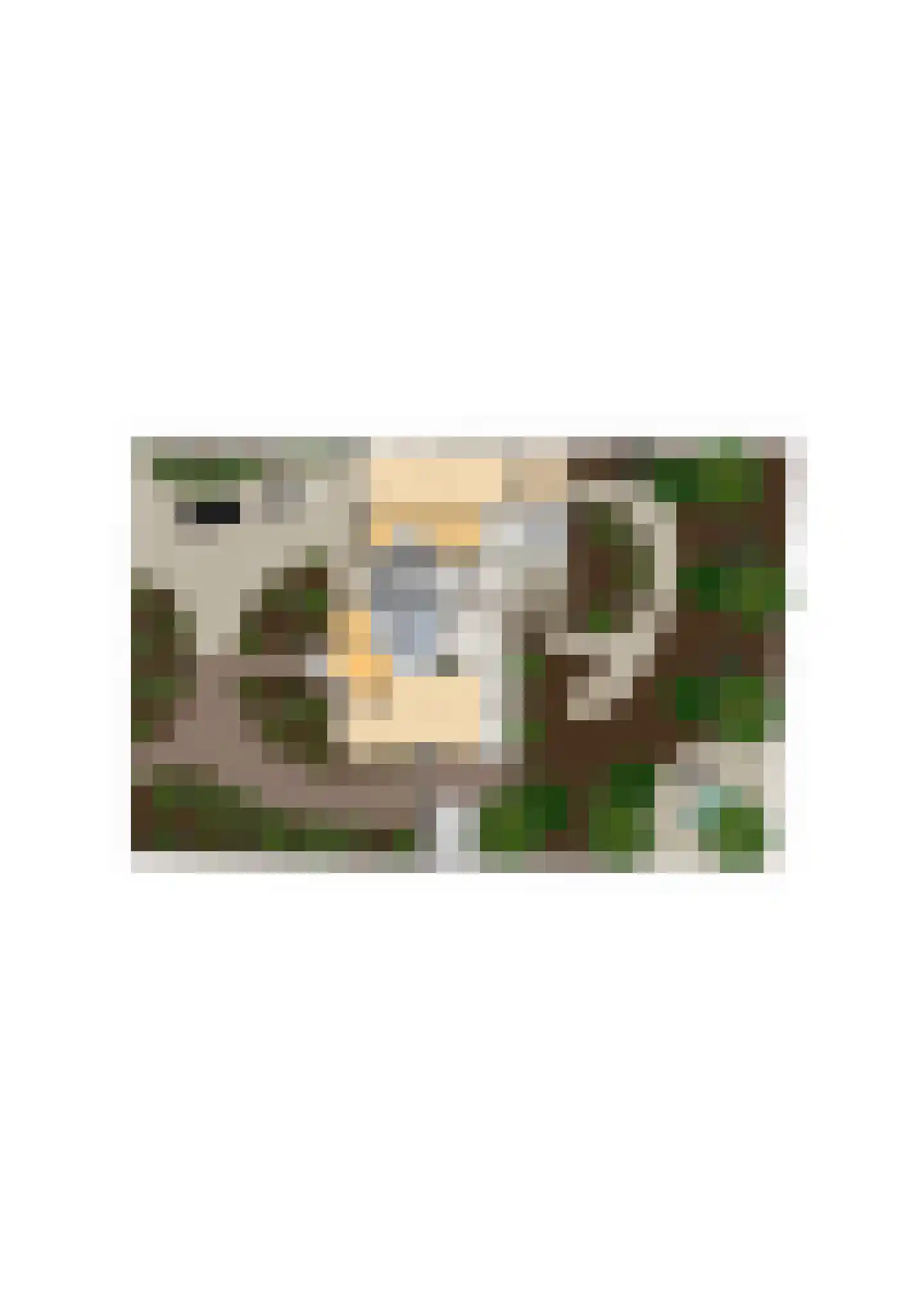 Bosschendijk 64 Oudenbosch thumbnail 64
