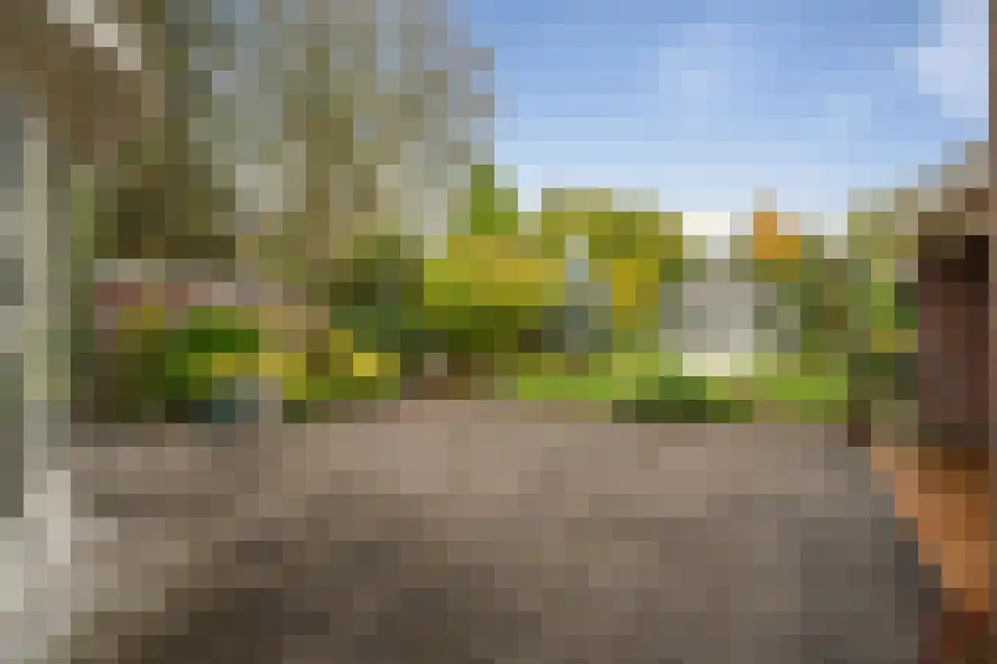 Bosschendijk 67 Oudenbosch thumbnail 14
