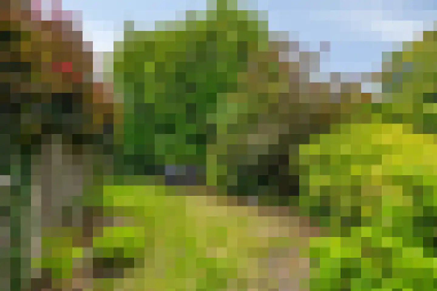 Bosschendijk 86 Oudenbosch thumbnail 37