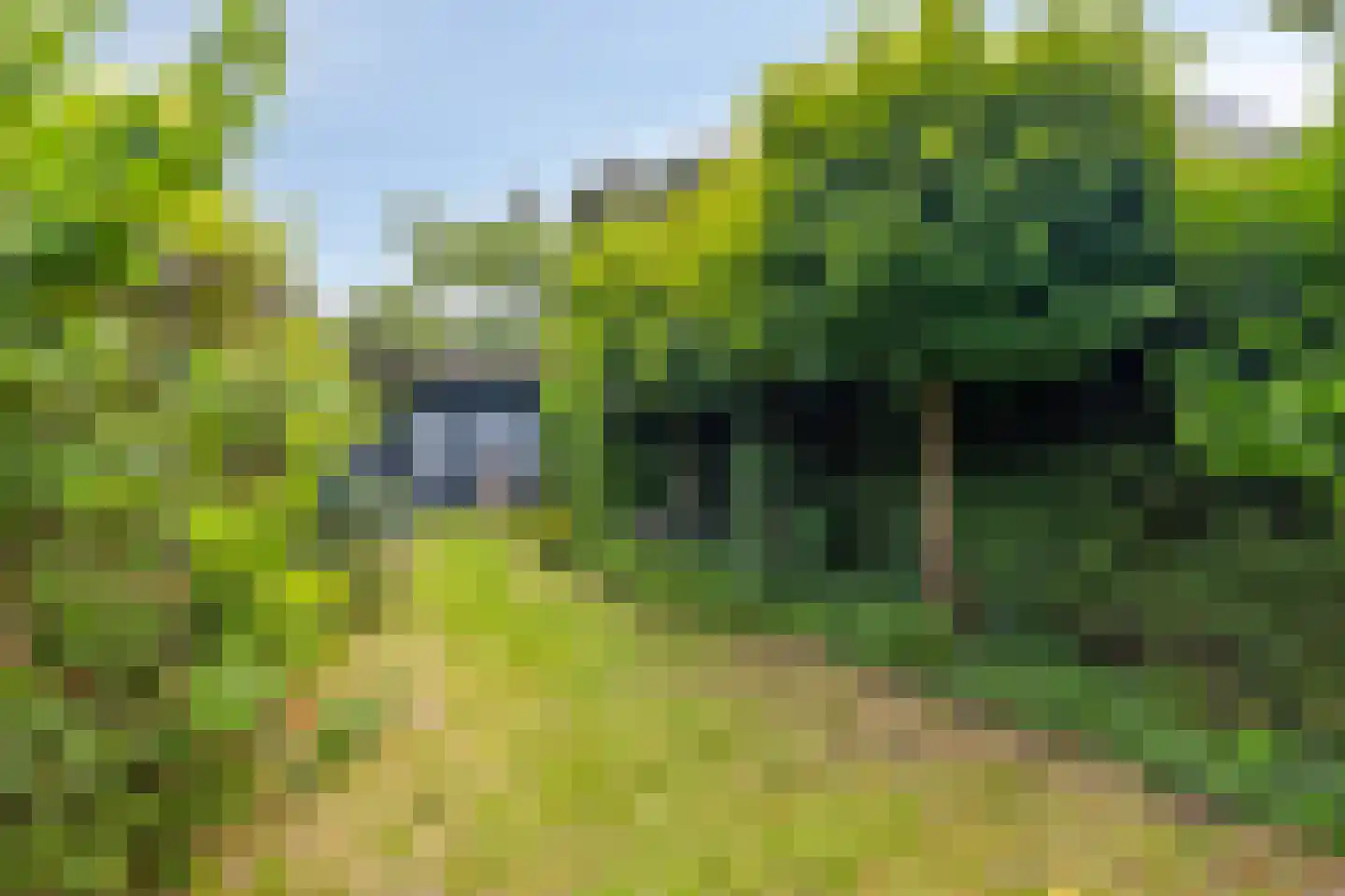 Bosschendijk 86 Oudenbosch thumbnail 38
