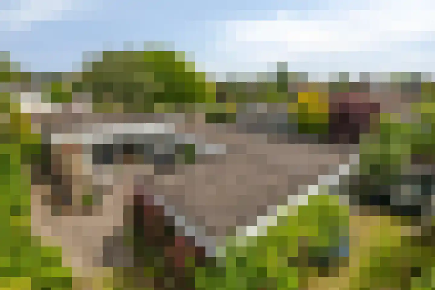Bosschendijk 86 Oudenbosch thumbnail 41